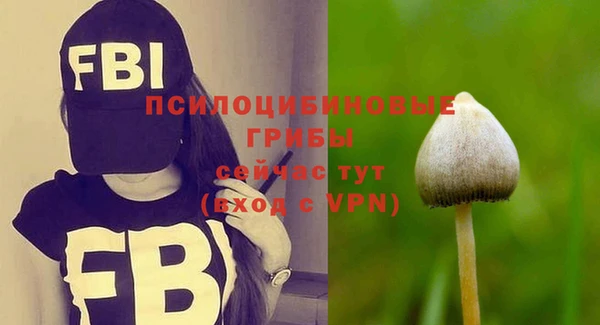 бутират Инсар