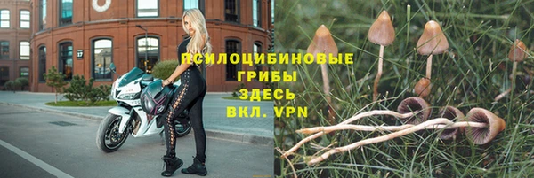 бутират Инсар