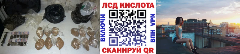 Лсд 25 экстази ecstasy это клад Светогорск