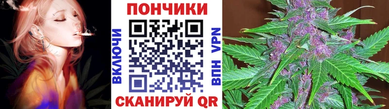 дарк нет как зайти  Светогорск  МАРИХУАНА ГИДРОПОН 